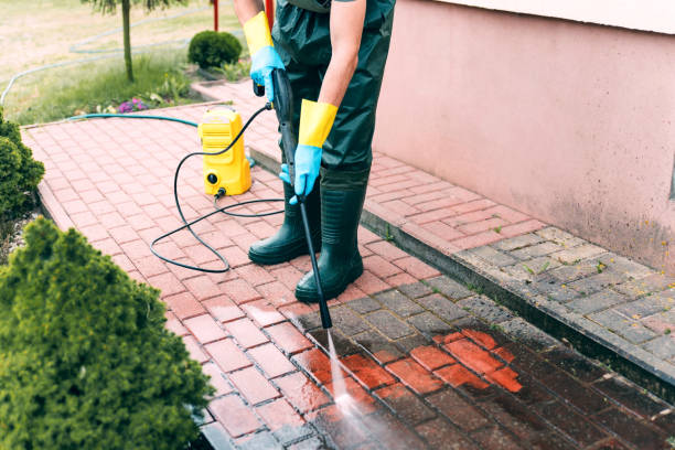 Best Playground Equipment Cleaning  in Lorenz Park, NY